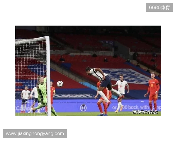 Opta回顾帕洛特过去一周的表现,7脚射门打进5球!